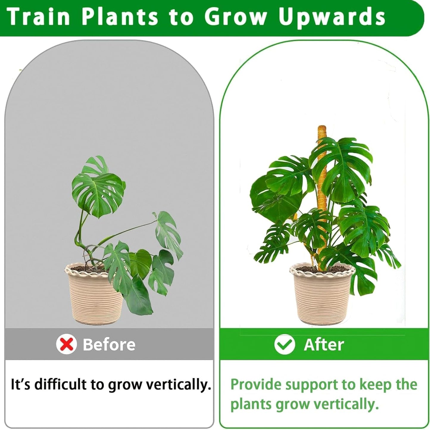 Moss Pole, 2Pack 21 Inch Plant Support Stakes for Indoor Plants, Monstera Plant Support Stakes, 37 Inch Tall Coir Plant Pole Sticks for Potted Plants, Pothos, Philodendron-VerdiqueGarden