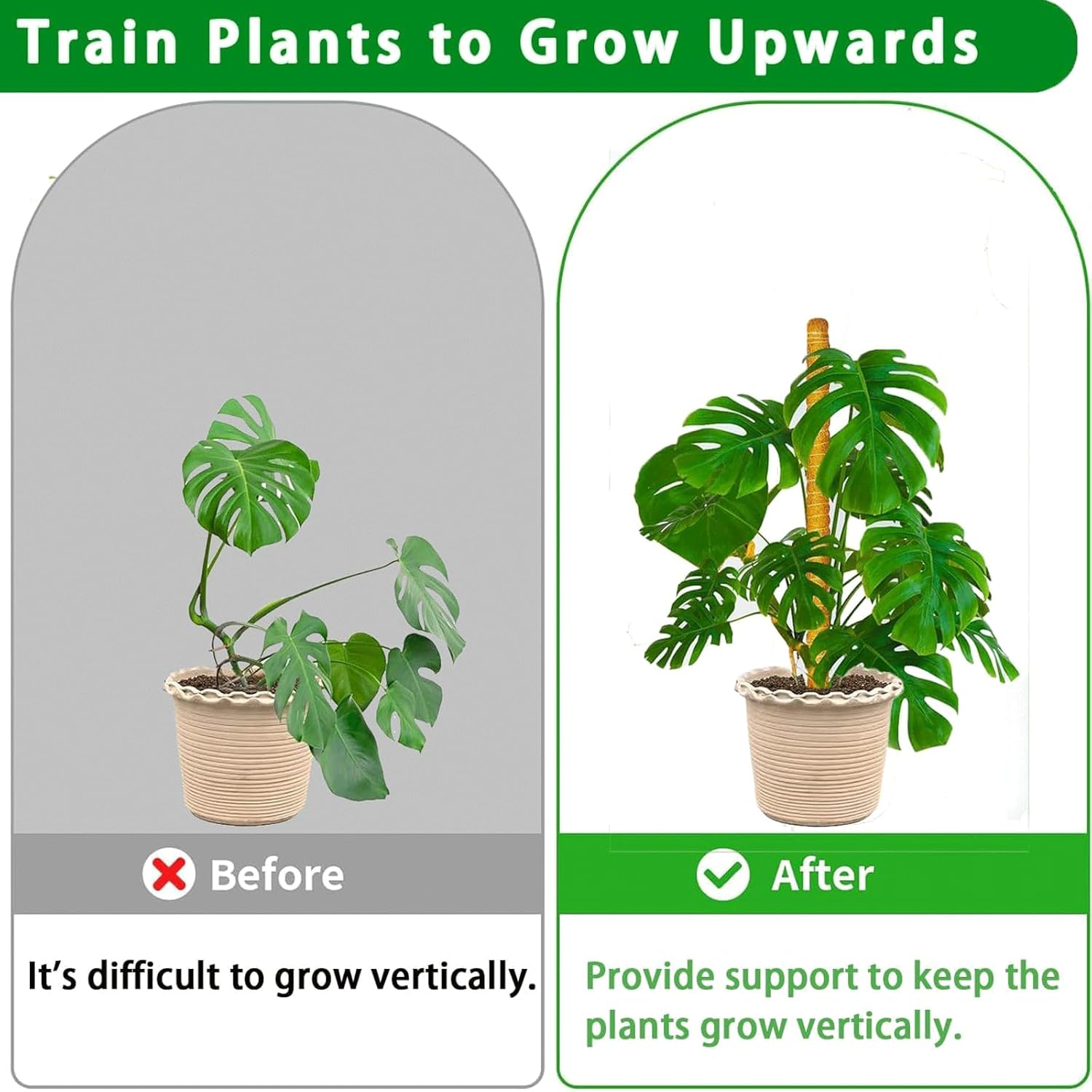 Moss Pole, 2Pack 21 Inch Plant Support Stakes for Indoor Plants, Monstera Plant Support Stakes, 37 Inch Tall Coir Plant Pole Sticks for Potted Plants, Pothos, Philodendron-VerdiqueGarden