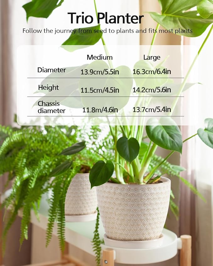 Plant Pots, Flower Pots, Planters for Indoor Plants(6.5+5.5inch), Flower Pots for Indoor Plants with Drainage Hole and Saucer, Ceramic Pots for Plants with Hole Mesh Pad,Reactive Glaze White-VerdiqueGarden