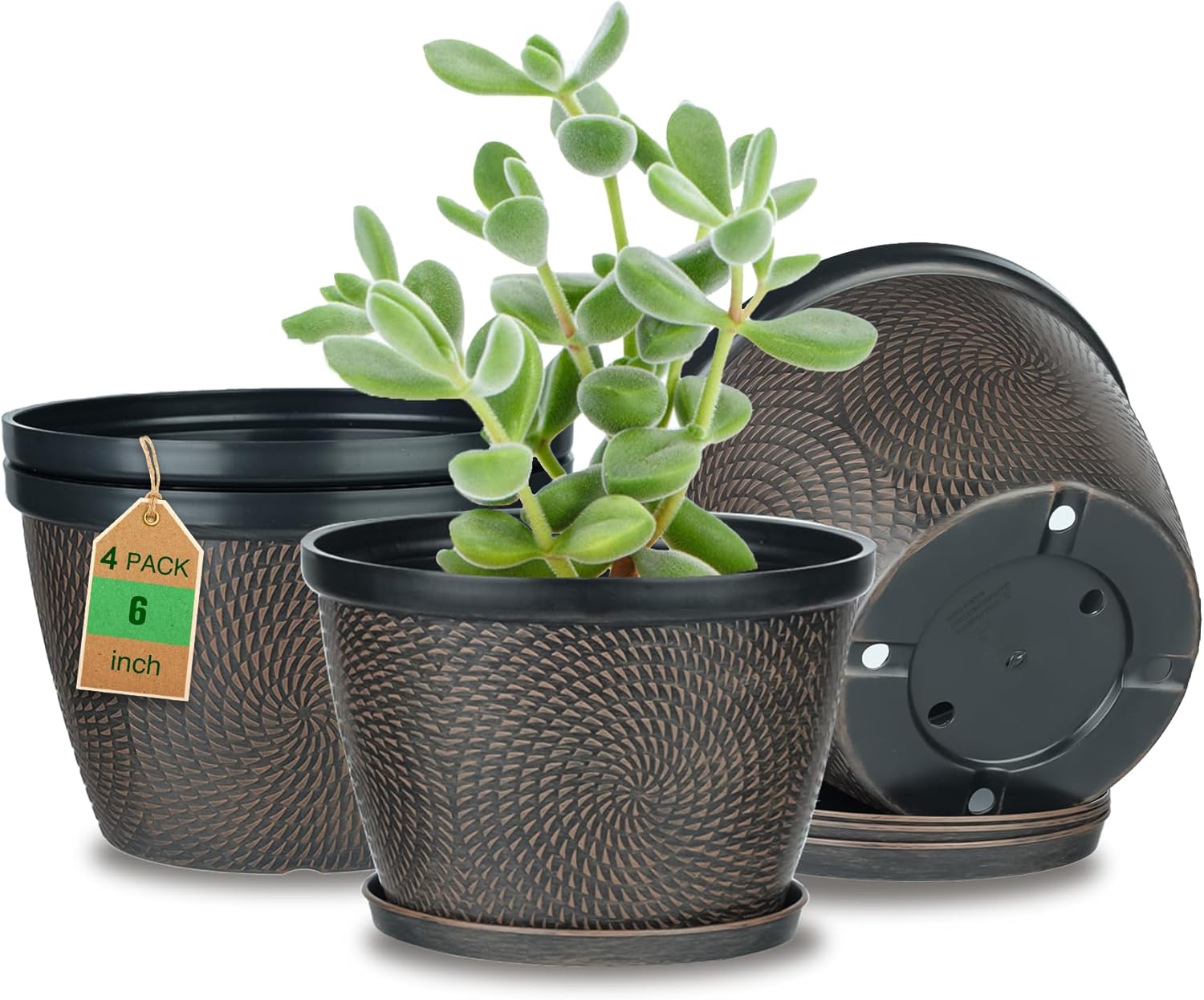 Quarut 4 Pack 6 Inch Flower Pots for Outdoor Indoor, Plastic Plant Pots with Drainage Hole & Saucer, Lightweight Small Flower Pot, Circle Pattern Planters for Garden House planters（Black Copper）-VerdiqueGarden
