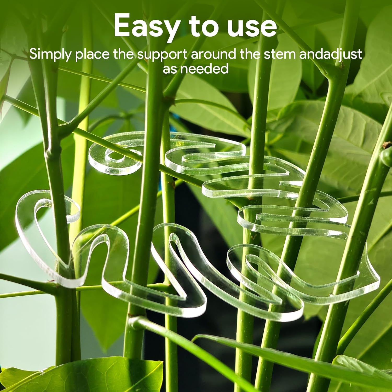 2 Pack Plant Stem Support,Plant Stem Holder, Plastic Monstera Plant Support, Climbing Houseplant Stem Supports Stakes-VerdiqueGarden