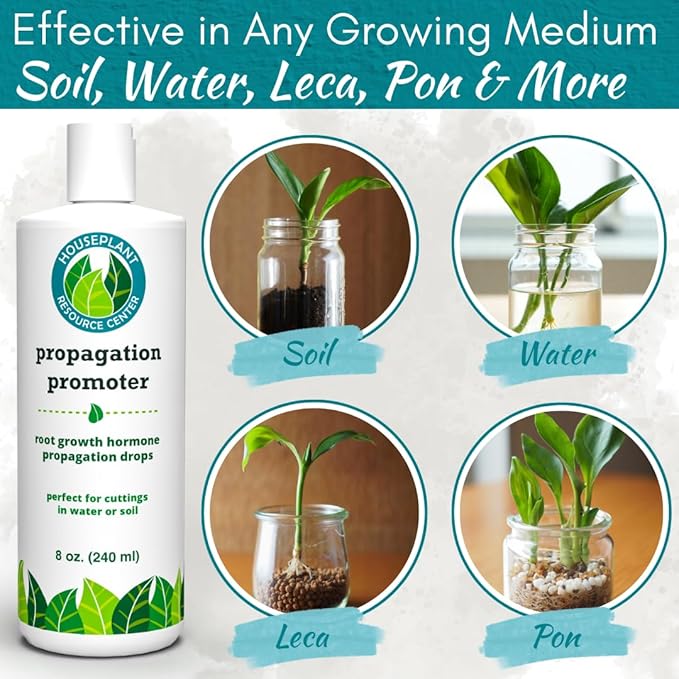 Houseplant Prop Drops - Propagation Promoter & Root Growth Hormone | Root Stimulator for Cuttings | Supports Stronger, Healthier Plants | Easy-to-Use Liquid Formula for Water & Soil Propagation | 8oz-VerdiqueGarden