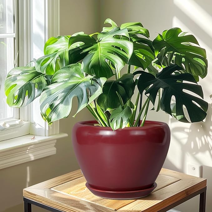 10 Inch Plant Pot - Ceramic Planter Pot with Drainage Hole and Saucer Large Planter for Indoor Plants Round Outdoor Flower Pot Mid-Century Decor Red-VerdiqueGarden