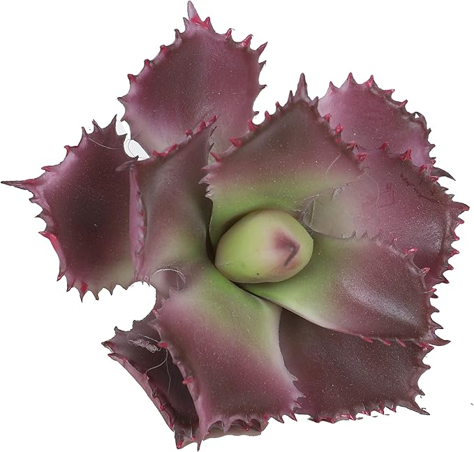 Duovlo Artificial Succulent Plant 7.08 Inch Faux Succulents Agave potatorum Flower Arrangement Craft Wall DIY Materials Pack of 2 (Dark Purple)-VerdiqueGarden