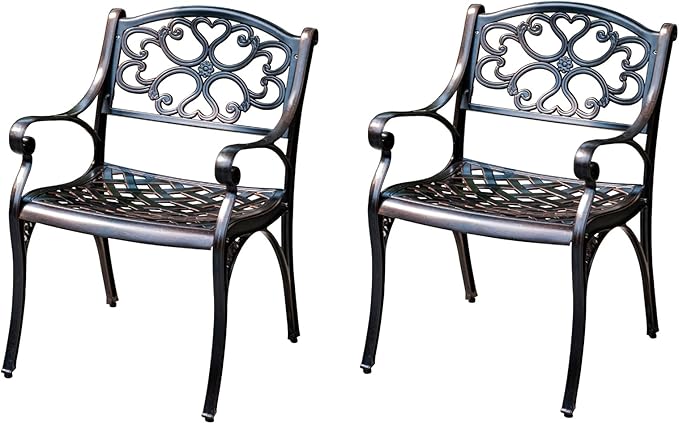 Outdoor Dining Chair Cast Aluminum Patio Chairs Set of 2 All-Weather Patio Dining Chair with Adjustable Feet for Backyard Garden (Die-Casting B Chair)-VerdiqueGarden