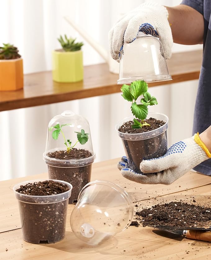 homenote Clear Nursery Pots for Plants,4 Inch Plant Pot for Planting with Humidity Domes Plastic Seedling with Drainage Holes Seed Starter Flower High Transparency (30 Pack)-VerdiqueGarden