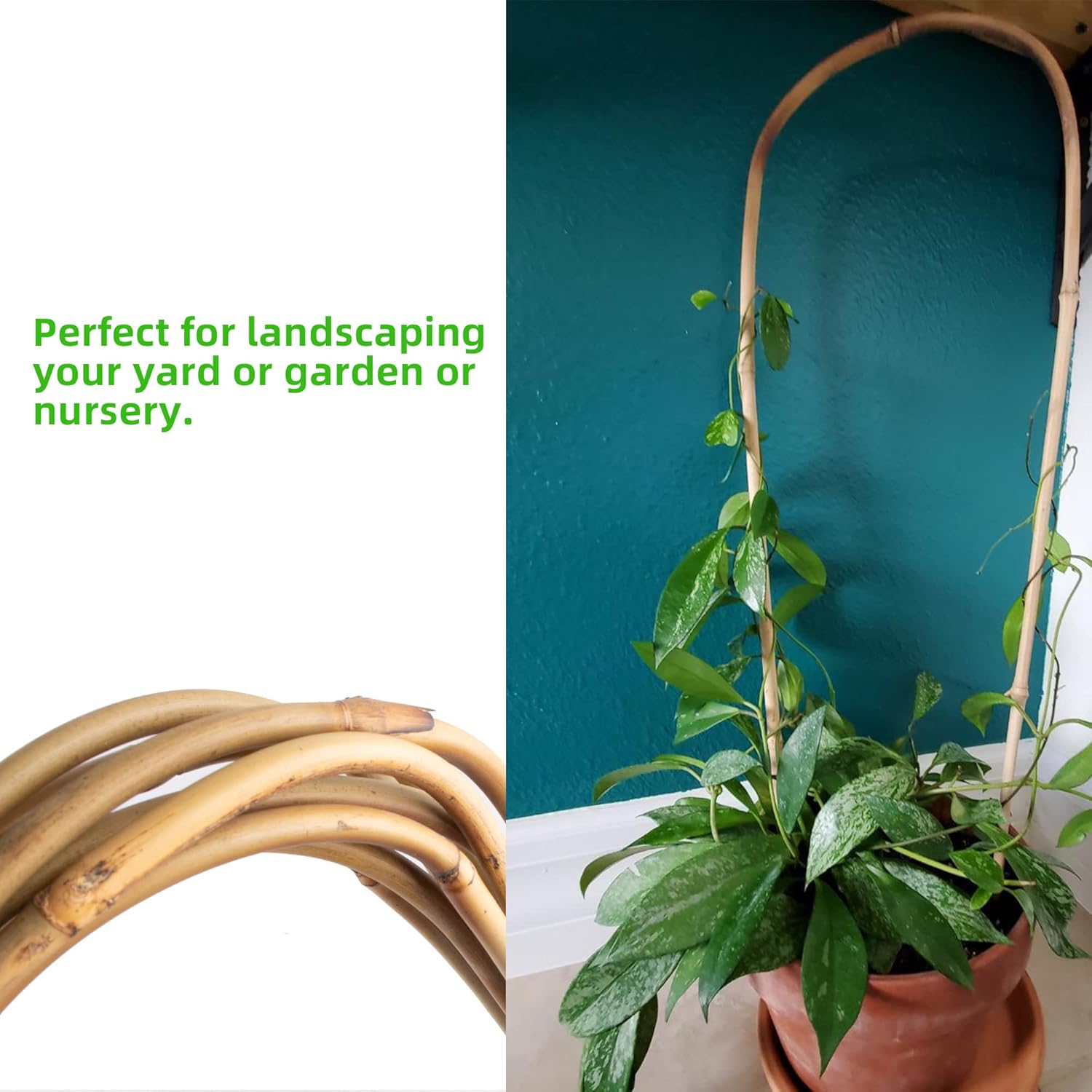 Avalution 16" Natural Bamboo Plants Trellis U-Hoop,Bamboo Gaeden Trellis U-Shape for Climbing Plant Support-20PCS-VerdiqueGarden