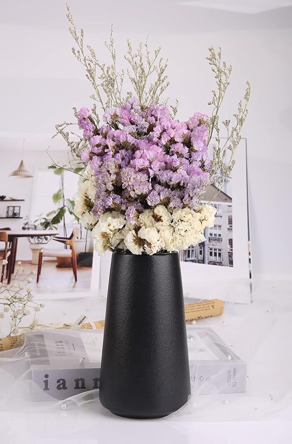 Simple Vase for Flowers Plants, Matte Vases for Modern Table Shelf Home Decor Wedding Boho Decor, 6" H Frosted Elegant Ceramic Vase for Pampas Grass Fluffy Stem Bouquet Lavender Flowers (Black, 1)-VerdiqueGarden