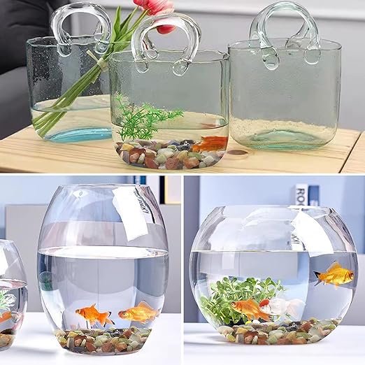 10LB Colorful Pebbles for Succulent, 3/8 Inch Natural River Rocks for Plants, Natural Decorative Polished Pebbles for Cactus,Vases, Planters,Outdoor Gardening and Indoor Plants-VerdiqueGarden