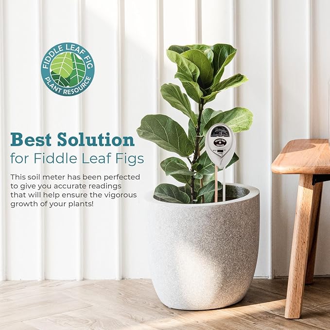 Houseplant Resource Center Fiddle Leaf Fig 3-in-1 Soil Moisture Meter for Plants – Best Indoor Plant Water Meter for Potted Houseplants - Light & Moisture Sensor Probe for Optimal Growth-VerdiqueGarden