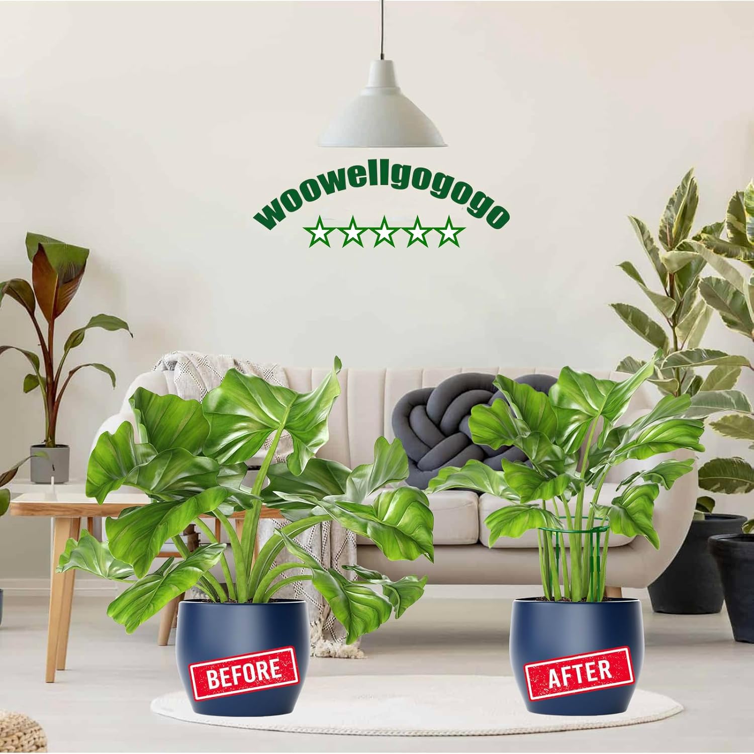 10-Pack Adjustable Height Snake Plant Support Stakes- Sturdy, Rust-Resistant Plant Supports for Indoor and Outdoor Potted Plants (16x10Inch) - Flower and Garden Peony Support-VerdiqueGarden