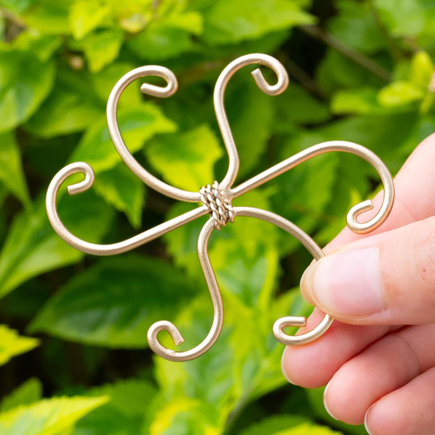 5Pcs Monstera Plant Stem Support Hook (2.75x2.75 inches) - Durable Metal Stem Support for Monstera & Fishbone Cactus, Easy Installation, Ideal Gift for Plant Lovers & Home Decor-VerdiqueGarden