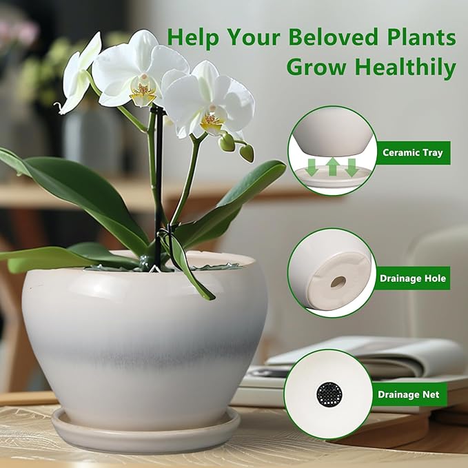 10 Inch Ceramic Planter Pot - Large Plant Pot with Drainage Hole and Saucer Round Flower Pot for Indoor Plants, White-VerdiqueGarden