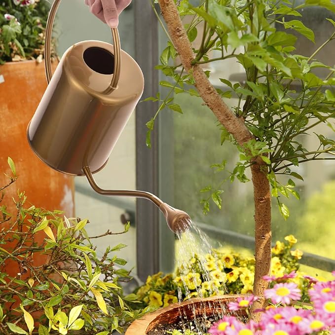 1/2 Gallon 68oz Long Spout Stainless Steel Gold Colored Watering Can for Indoor Plant Watering or Outdoor Gardening with 2 Removable Spray Spout for Flowers, Medium-VerdiqueGarden