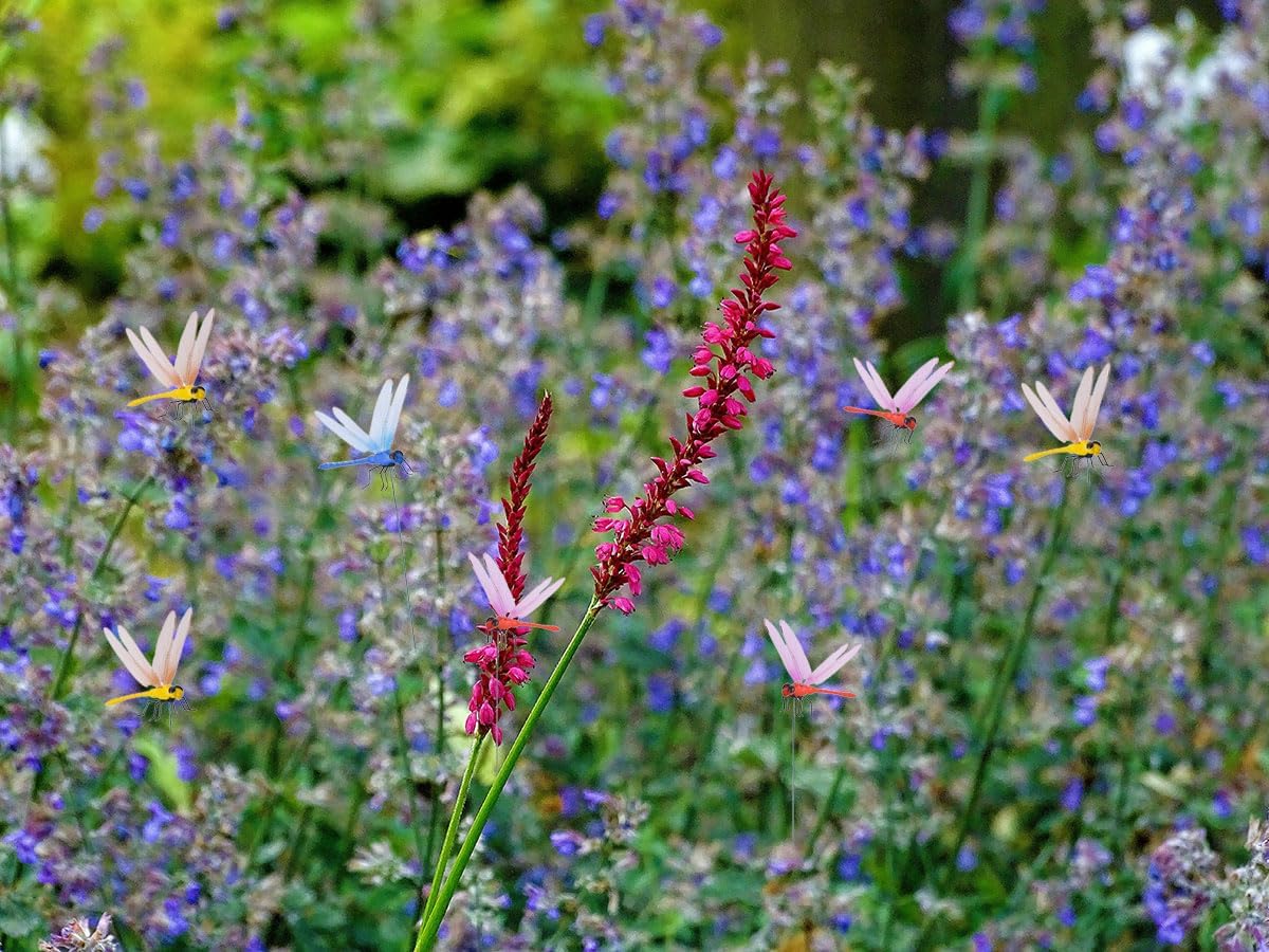 Spiritlele 16 PCS Fake Dragonfly Clip Colorful Hat Clip 3D Dragonfly Garden Decor for Patio Outdoor Indoor-VerdiqueGarden