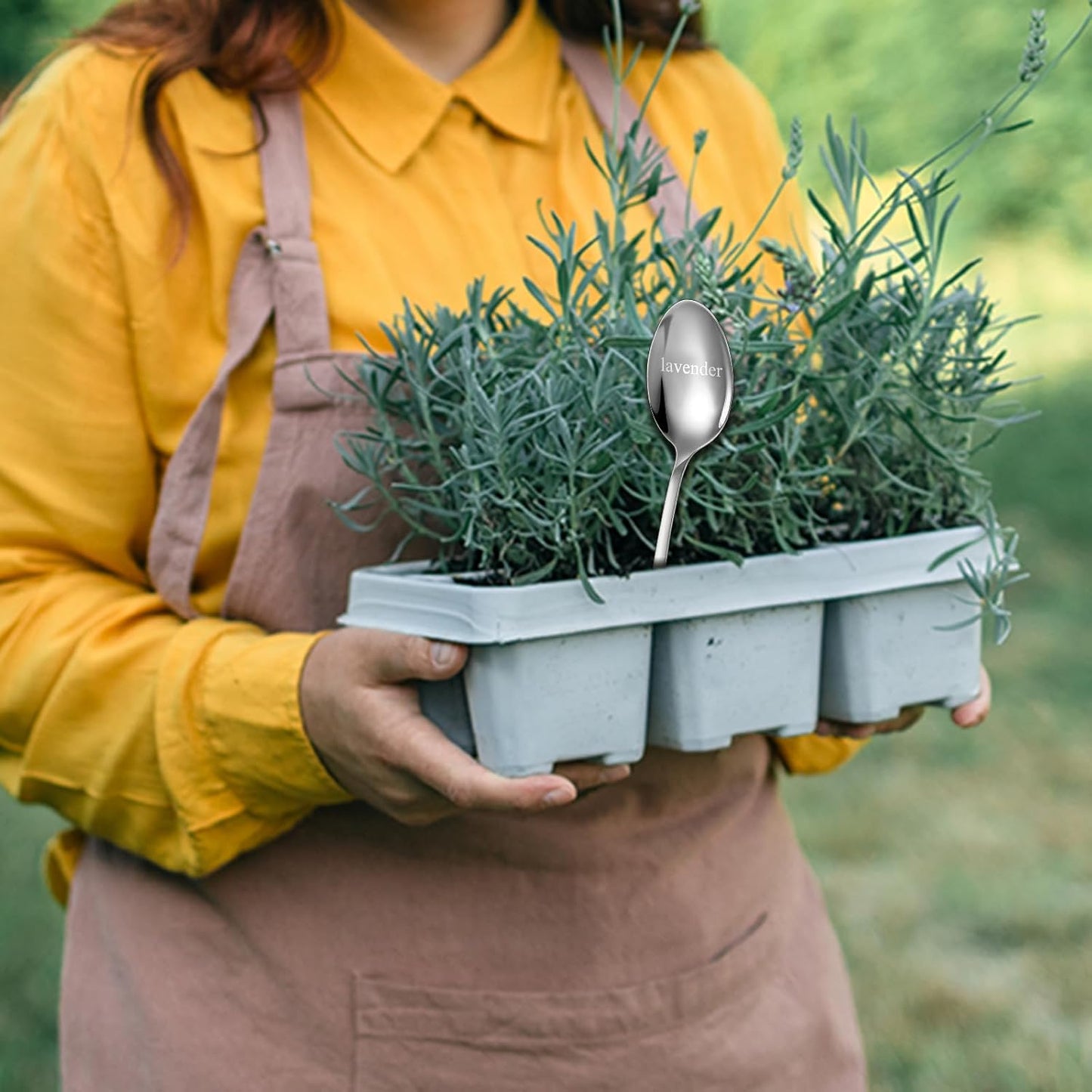 Bucherry 12 Pcs Metal Plant Label Signs, Spoon Shape Planted Herb Markers Garden Labels with Herb Names for Nursery Indoor Outdoor Garden Decoration, Stainless Steel, 12 Styles, 6.8" x 1.4"-VerdiqueGarden