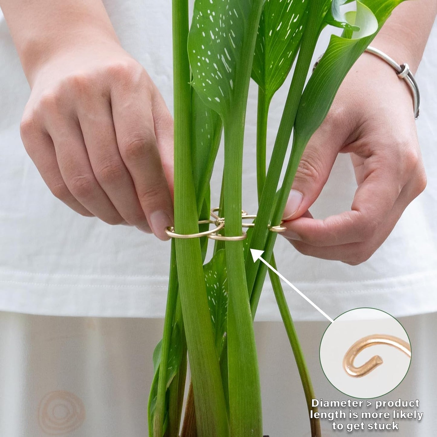 5Pcs Monstera Plant Stem Support Hook (2.75x2.75 inches) - Durable Metal Stem Support for Monstera & Fishbone Cactus, Easy Installation, Ideal Gift for Plant Lovers & Home Decor-VerdiqueGarden