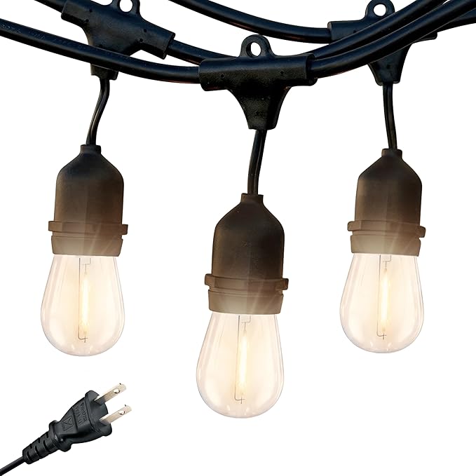 Brightech Ambience Pro LED String Lights - 24 Ft Commercial Grade Patio Lighting Outdoor Waterproof - 7 Heavy Duty Porch Lights for Outside, Christmas, Backyard - 1W Vintage Edison Bulbs, Dimmable-VerdiqueGarden