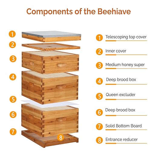 VINGLI 10-Frame Bee Hive, Wax Coated Beehive Starter Kit with Frames & Beeswax Coated Foundation Sheets (3 Layer)-VerdiqueGarden