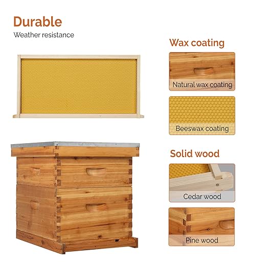 VINGLI 10 Frames Beehive, Complete Beehive Kit Includes 1 Deep Boxes, 1 Medium Box, Frames and Waxed Foundations, for Yard, Field, Bee Farm (2 Layer)-VerdiqueGarden