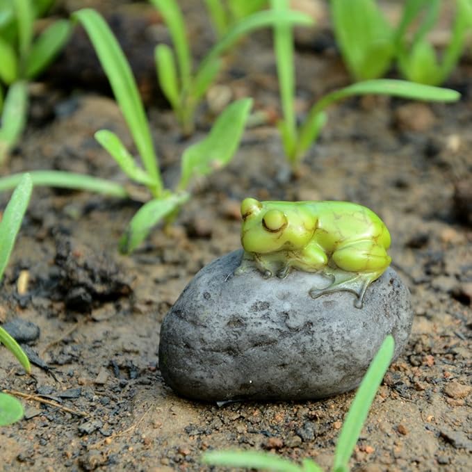 Top Collection Miniature Fairy Garden and Terrarium Statue, Sleeping Cute Frog on Stone-VerdiqueGarden