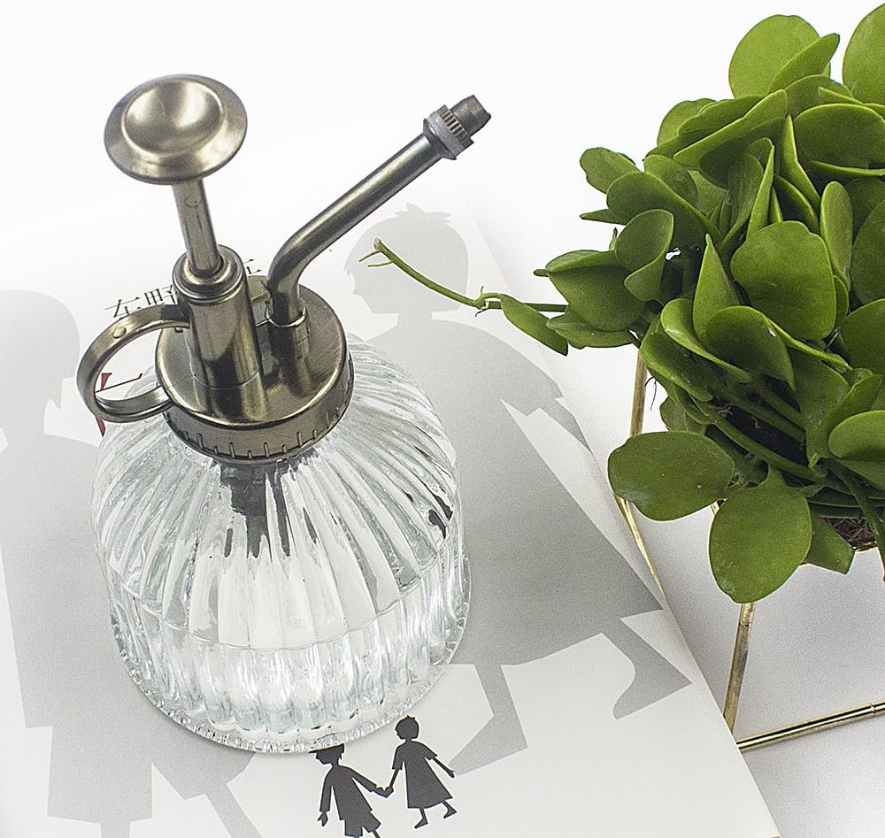 Glass Plant Mister Water Spray Bottle, 200 ML Glass Plant Spritzer Mister Bottle, Vintage Style Glass Succulent Watering Bottle with Top Pump, Plant Sprayer Mister for Indoor Plants - Clear-VerdiqueGarden