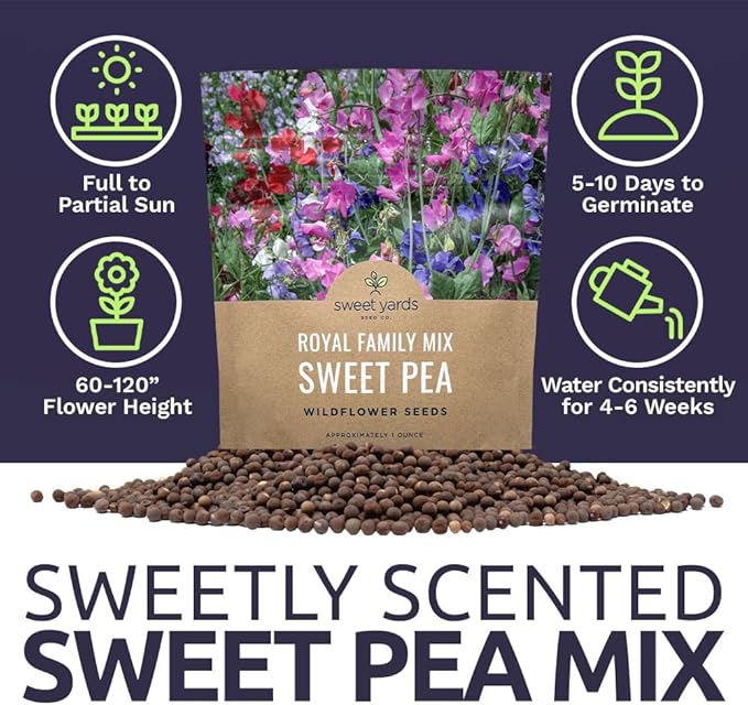 Sweet Pea Seeds Royal Mix - Bulk 1 Ounce Packet - Over 350 Seeds - Large Fragrant Lavender, Purple, Red, Pink and White Blooms-VerdiqueGarden