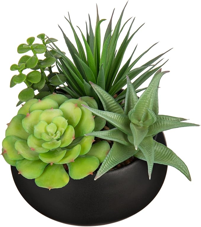 Fake Plants Artificial Succulents in Pots Faux Succulent Arrangement Potted Plant with Black Ceramic Pot for Home Decor Modern Office Desk Bathroom Shelf Living Room Indoor & Outdoor Decoration-VerdiqueGarden