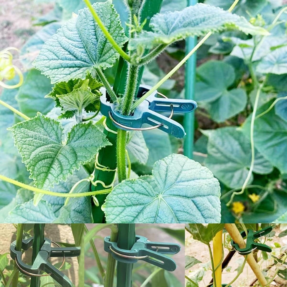 GXXMEI 100PCS Plant Clips Garden Clips for Tomato Cage, Tomatoes Clips Plant Support Clips for Bamboo Stakes, Climbing Plants, Vines, Gentle Plant & Flower Trellis Clips for Plant Stalks, Stems-VerdiqueGarden