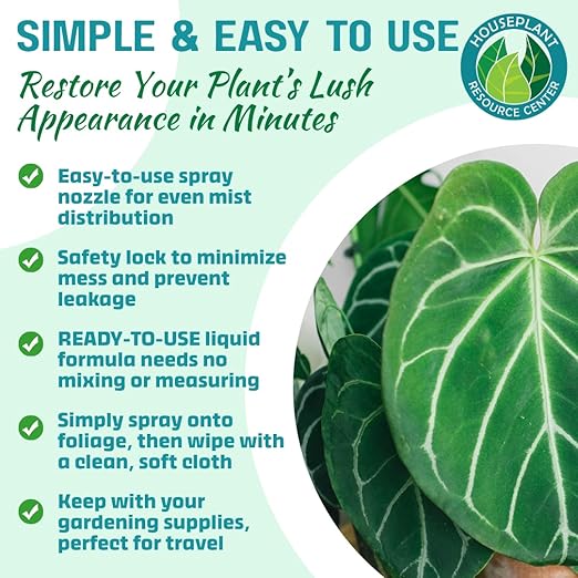 Houseplant Leaf Shine Spray – All-Natural Leaf Cleaner and Gloss for Healthy Shine & Better Photosynthesis | Perfect for House Plants and Foliage | 8 oz-VerdiqueGarden