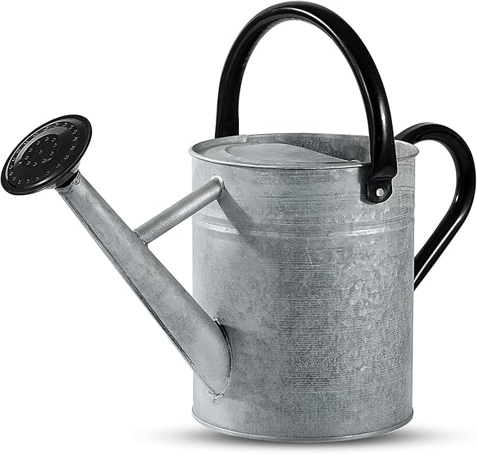 1 Gallon Watering Can for Plants, Watering Cans for Indoor&Outdoor Gardening, Galvanized Steel Watering Pot with Removable Spout, Metal Water Can with Ergonomic Movable Handle(Rustic Silver)-VerdiqueGarden