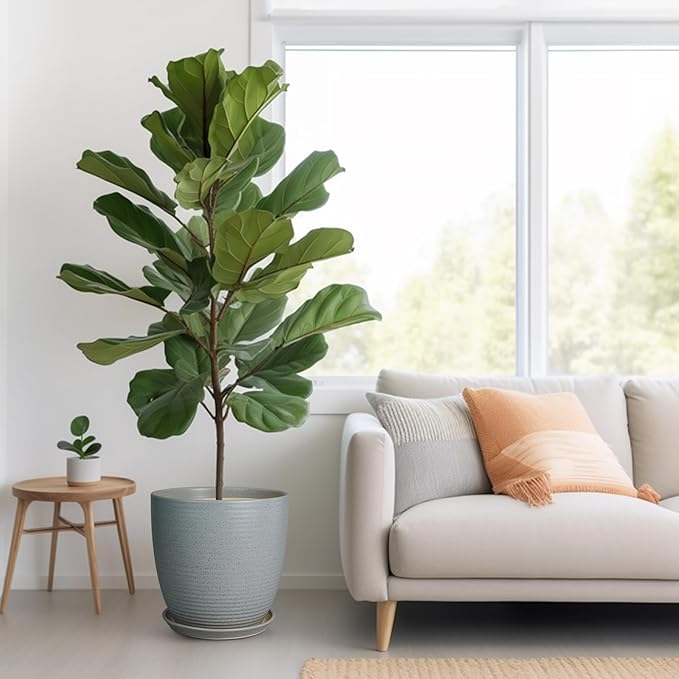 12 Inch Plant Pot, Ceramic Planter Pot with Drainage Hole and Saucer Round Large Flower Pot for Indoor Plants, Light Gray-VerdiqueGarden