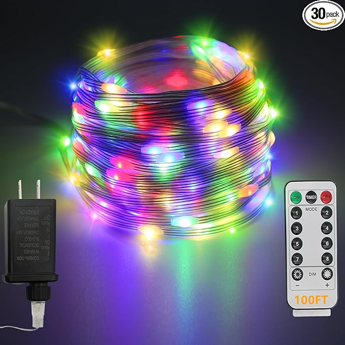 LED Rope Lights Outdoor, 100Ft 300 LED Multicolor String Lights Indoor with Remote, 8 Modes Waterproof Fairy Lights for Outside Garden Patio Party Wedding Christmas Decoration-VerdiqueGarden