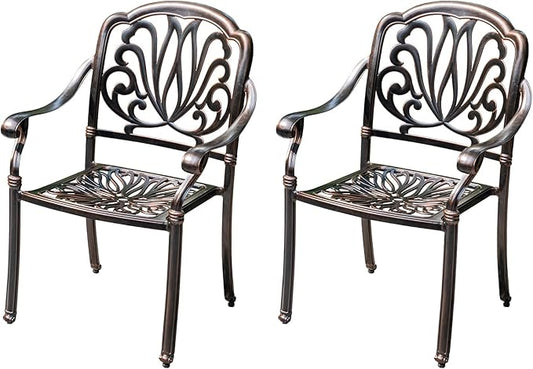 Outdoor Dining Chair Cast Aluminum Patio Chairs Set of 2 All-Weather Patio Dining Chair with Adjustable Feet for Backyard Garden (YLSB Chair)-VerdiqueGarden
