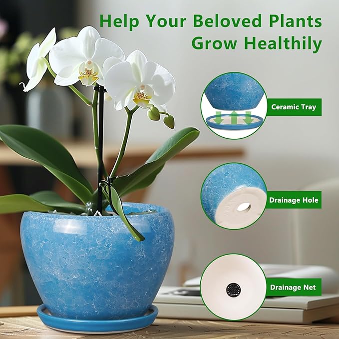 10 Inch Planter Pot - Ceramic Pots for Plants with Drainage Hole and Saucer, Round Large Flower Pot for Indoor Plants, Blue-VerdiqueGarden