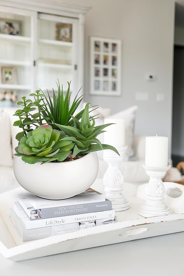Fake Plants Artificial Succulents in Pots Faux Succulent Arrangement Potted Plant with White Ceramic Pot for Home Decor Modern Office Desk Bathroom Shelf Living Room Indoor Decoration-VerdiqueGarden