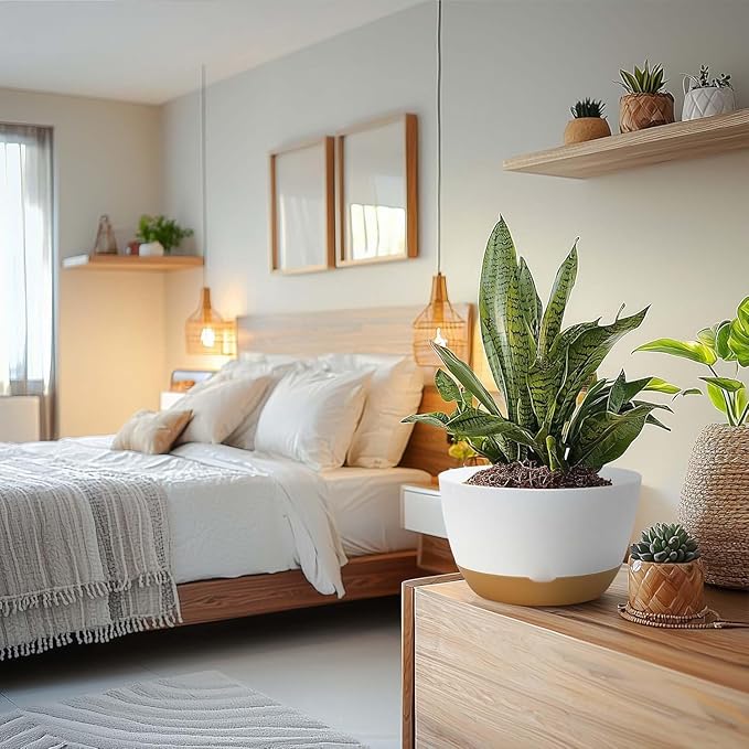 10 Inch Pots for Indoor Plants, Large Self Watering Planters with Drainage and Saucers, Plastic Outdoor Flower Pot, Set of 2, White-VerdiqueGarden