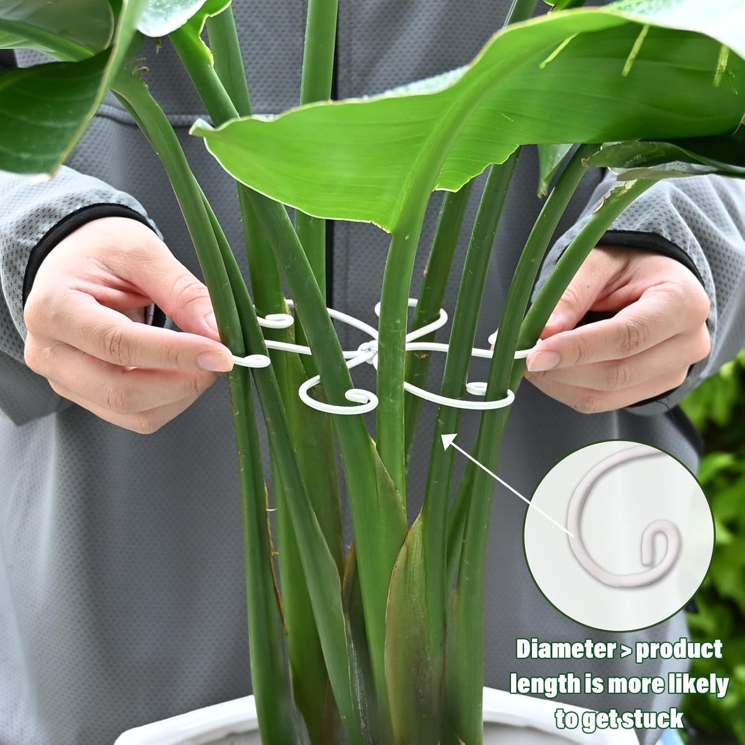 5PCS Monstera Plant Support Hook - 5.5x5.5 inch Premium Indoor Stem Stabilizer for Monstera & Fishbone Cactus, Durable,Easy Installation, Gentle Protection for Healthy Plant Growth-VerdiqueGarden