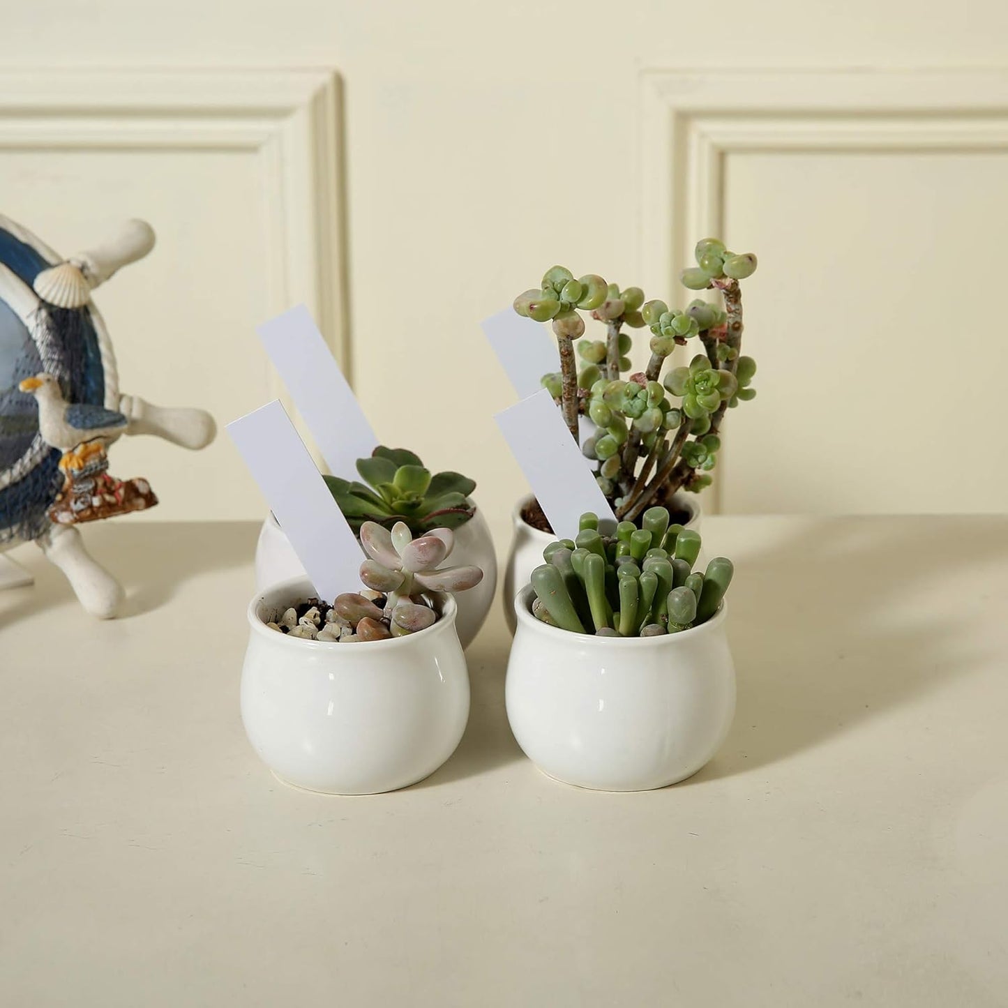 1000 Pcs Plant Tags, 4 Inch Plastic Garden Plant Pot Markers Waterproof Plant Label, White-VerdiqueGarden