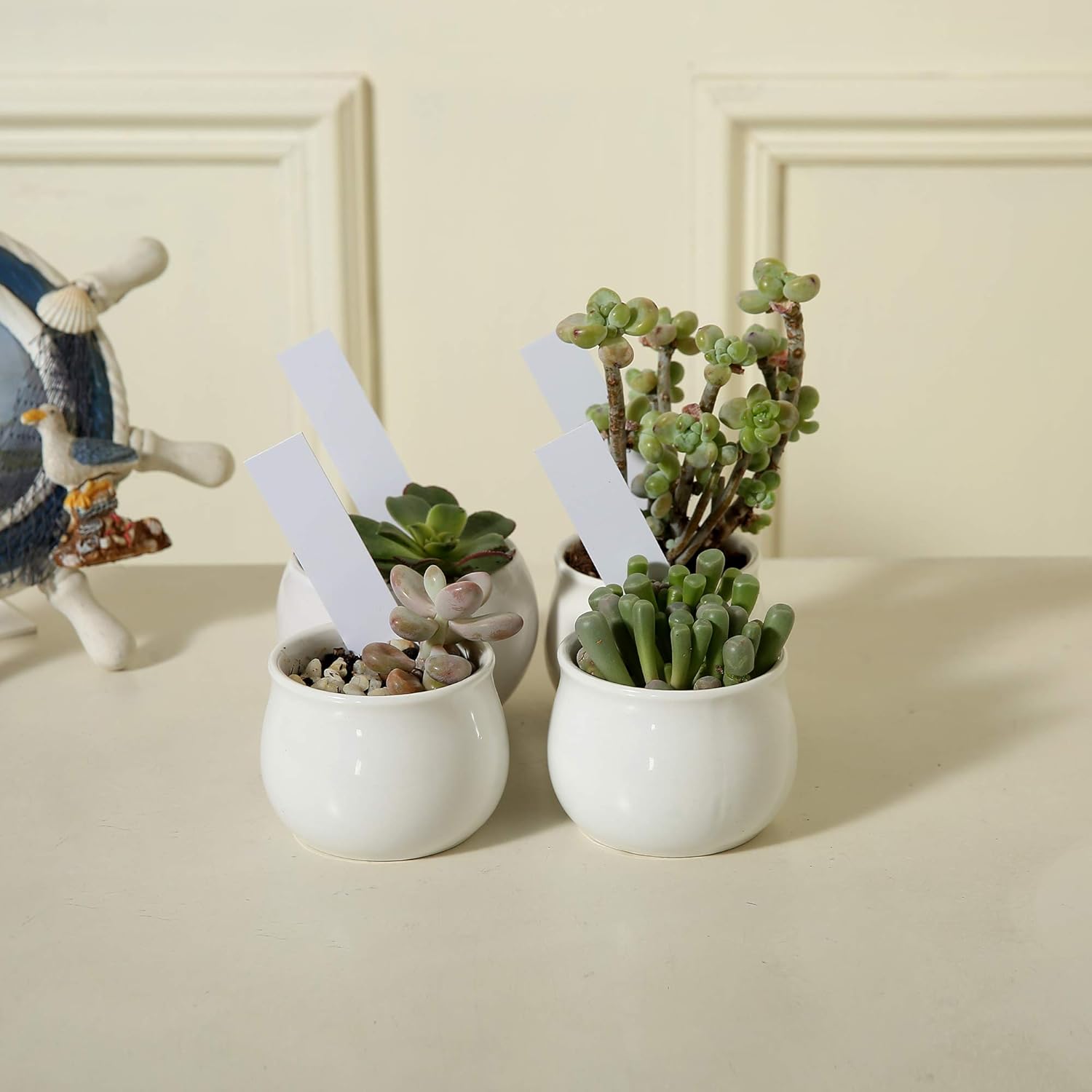 1000 Pcs Plant Tags, 4 Inch Plastic Garden Plant Pot Markers Waterproof Plant Label, White-VerdiqueGarden