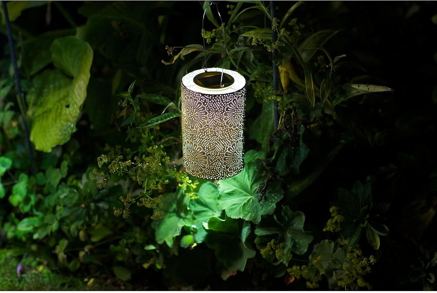 Allsop Stella Solar Lantern-VerdiqueGarden