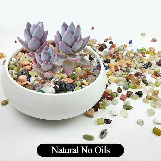 10LB Colorful Pebbles for Succulent, 3/8 Inch Natural River Rocks for Plants, Natural Decorative Polished Pebbles for Cactus,Vases, Planters,Outdoor Gardening and Indoor Plants-VerdiqueGarden
