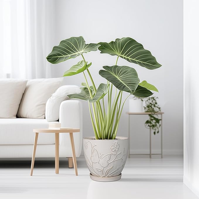 10 Inch Plant Pot Ceramic Planter Pot with Drainage Hole and Saucer Round Planter Large Flower Pot for Indoor Outdoor Plants Home Garden Decor White-VerdiqueGarden