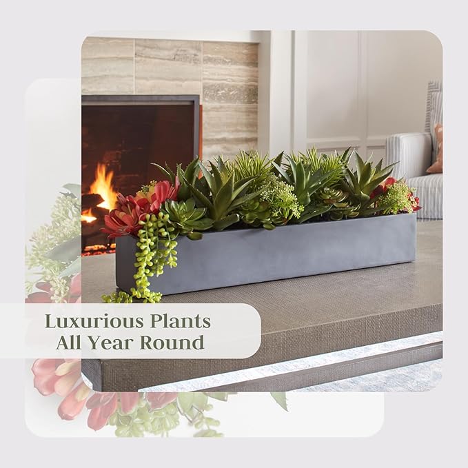 Oblong Faux Succulent Arrangement, Premium Artificial Indoor Plant Enhances Interior Design, Display on any Surface in Your Home Adding an Inviting Touch of Nature, Grey Planter Pot Included-VerdiqueGarden