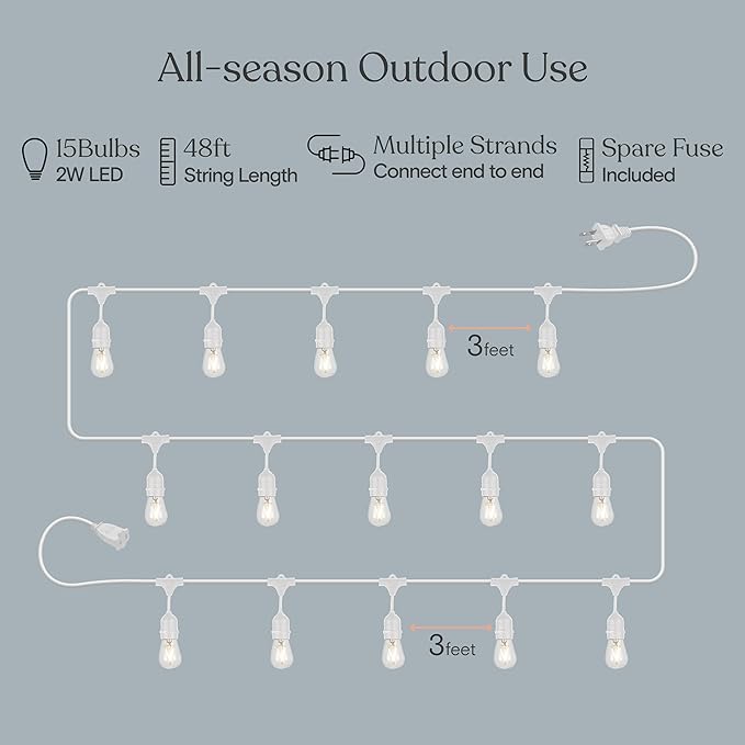 Brightech Ambience Pro Waterproof LED Outdoor String Lights, 48 Ft, Hanging, Dimmable Vintage Edison Bulbs, 15 Bulbs, 2W-VerdiqueGarden