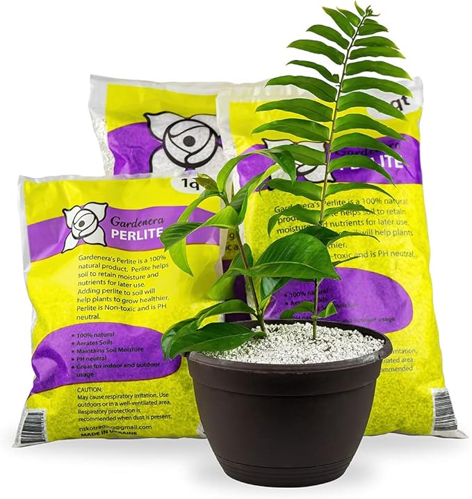 Organic Perlite - Medium/Fine Grade (4 Quart Bag) Horticultural Soil Amendment for Indoor & Outdoor Container Plants for Drainage Management and Enhanced Growth-VerdiqueGarden