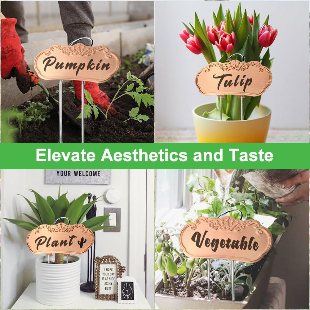 Metal Plant Labels,Tall Outdoor Garden Markers for Flower, Fruit and Vegetable, 304 Stainless Steel Weatherproof Signs (25 Packs, 4" x 1.9", Gold)-VerdiqueGarden