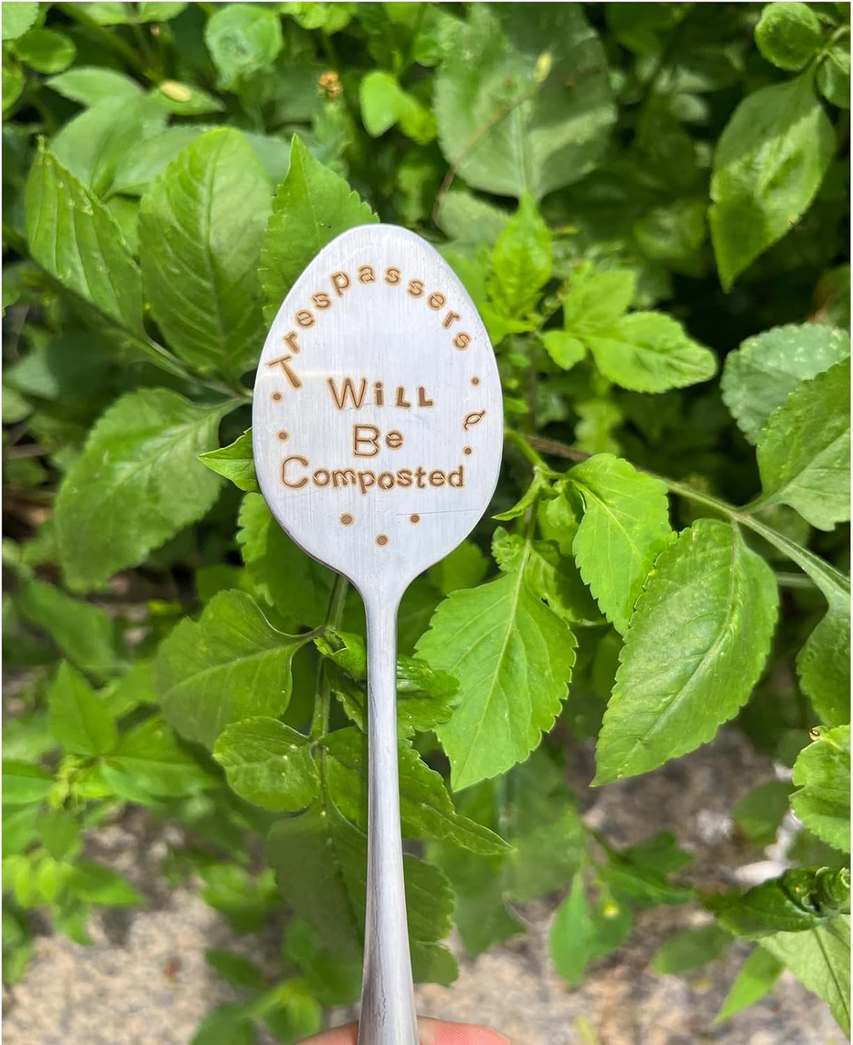 Garden Plant Marker Friendship Gift for Women Gardeners, Plant Stake Label Sign Tag Gardening Gifts for Woman Plant Lovers, Metal Garden Decoration (Will Be Composted)-VerdiqueGarden