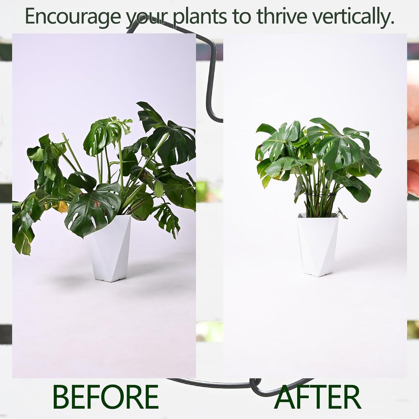 5PCS Black Monstera Plant Stem Support 9x7.6in - Adjustable & Durable Indoor Plant Stake for Cactus and Climbing Plants - Ideal Leaf Support for Gardening & Home Decor-VerdiqueGarden