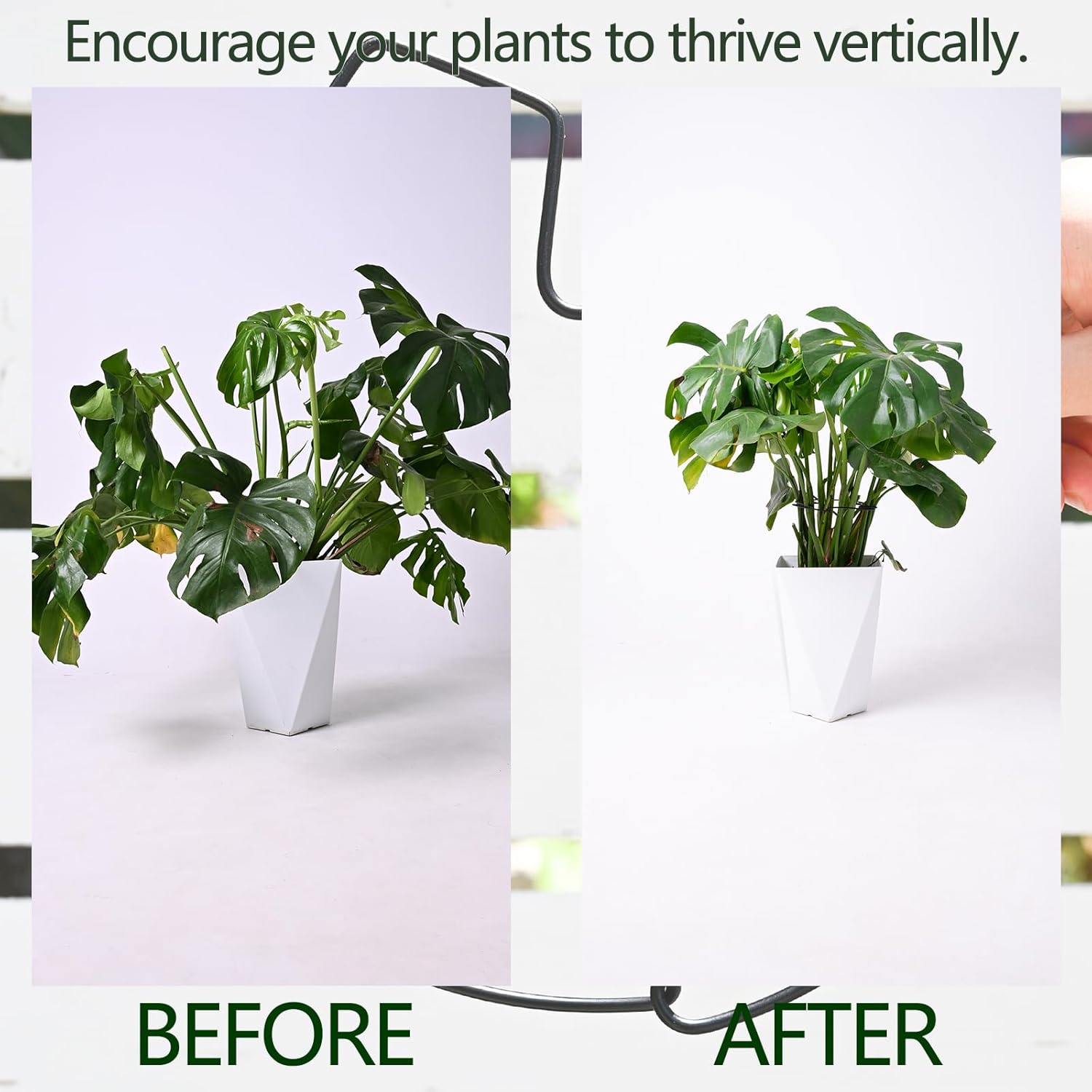 5PCS Black Monstera Plant Stem Support 9x7.6in - Adjustable & Durable Indoor Plant Stake for Cactus and Climbing Plants - Ideal Leaf Support for Gardening & Home Decor-VerdiqueGarden